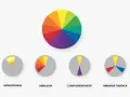 Il linguaggio dei colori spiegato con ruote cromatiche: monocromia, analogia, complementarità e armonia triadica.