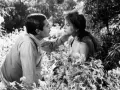 Un uomo e una donna in un campo fiorito, un'immagine che evoca il significato del sorpasso, un momento di intimità e cambiamento.