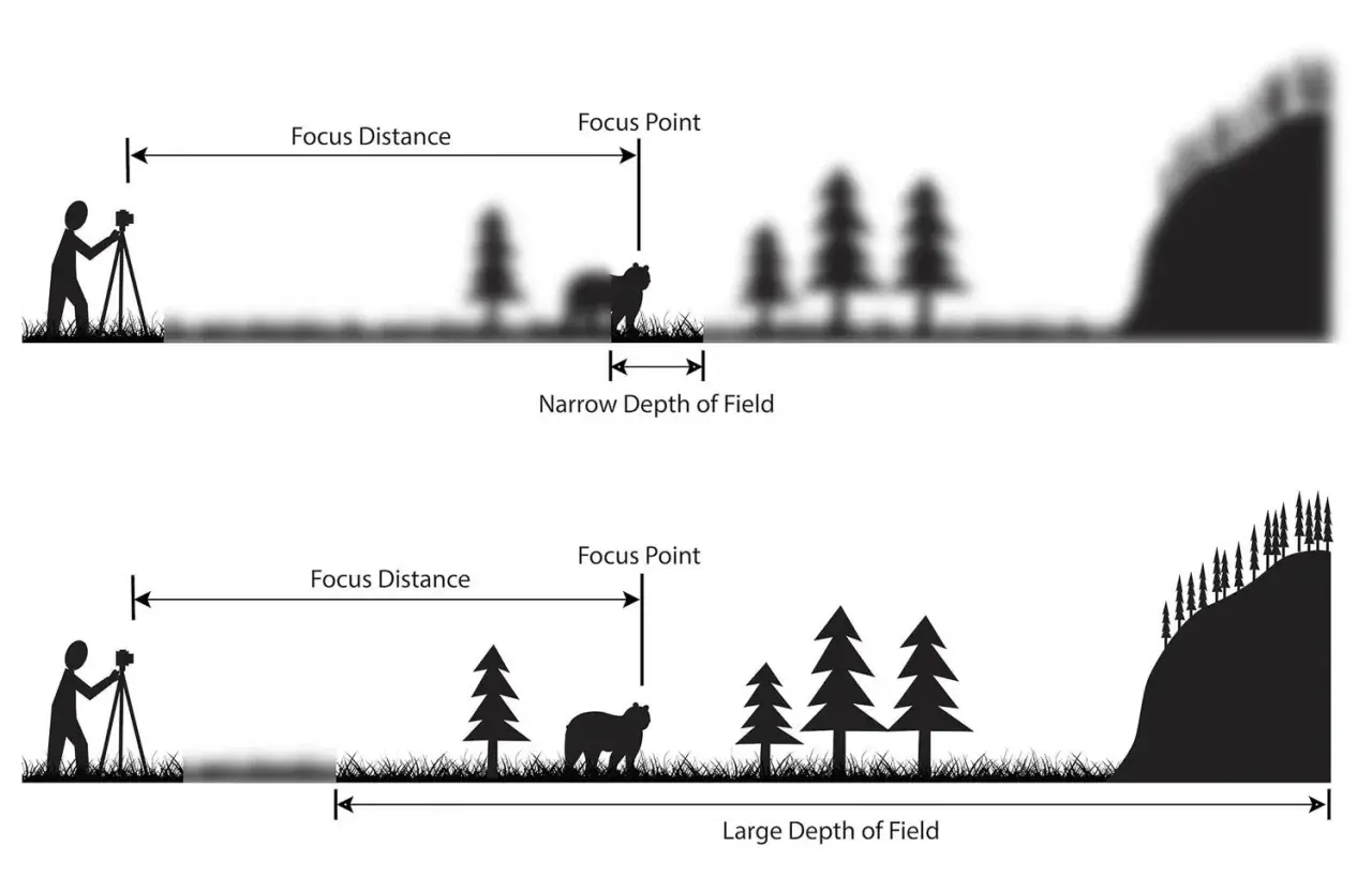 Illustrazione che mostra la differenza tra profondità di campo ridotta (primo piano a fuoco, sfondo sfocato) e ampia (tutto a fuoco), concetti chiave per la profondità di campo cinema.