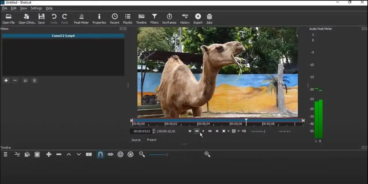 Interfaccia di Shotcut con un video di un cammello in riproduzione. Impara come usare Shotcut per montare i tuoi video.
