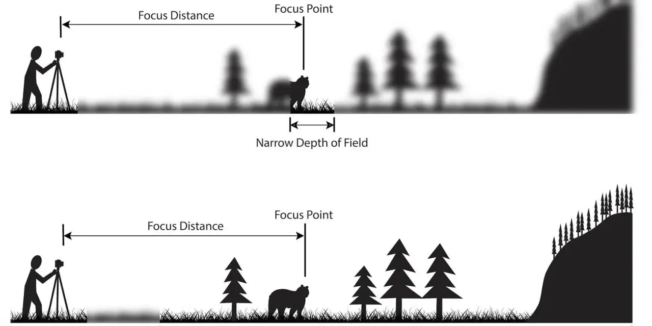 Illustrazione che mostra la differenza tra profondità di campo ridotta (primo piano a fuoco, sfondo sfocato) e ampia (tutto a fuoco), concetti chiave per la profondità di campo cinema.