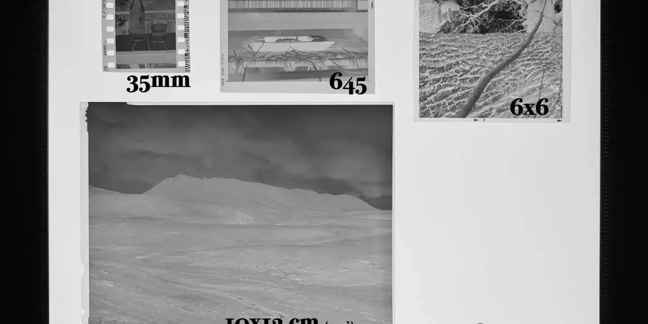 Diverse formati pellicola cinematografica: 35mm, 645, 6x6 e 10x12 cm (4x5').