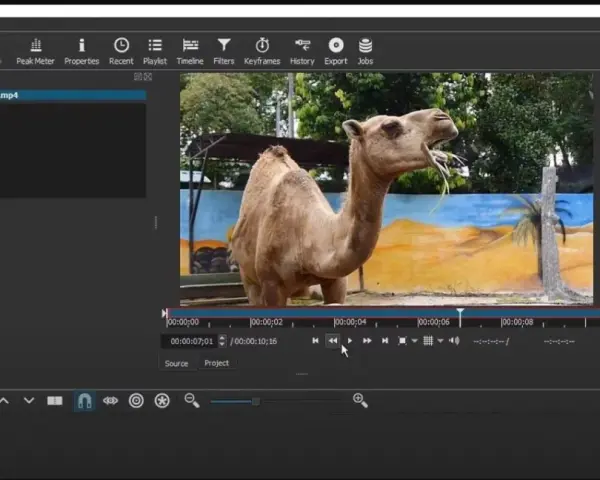 Interfaccia di Shotcut con un video di un cammello in riproduzione. Impara come usare Shotcut per montare i tuoi video.