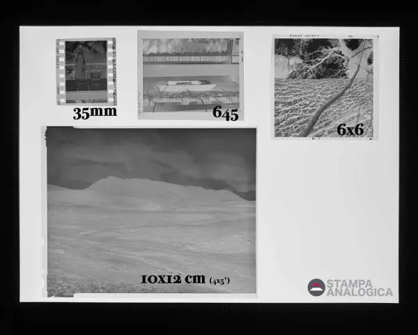 Diverse formati pellicola cinematografica: 35mm, 645, 6x6 e 10x12 cm (4x5').
