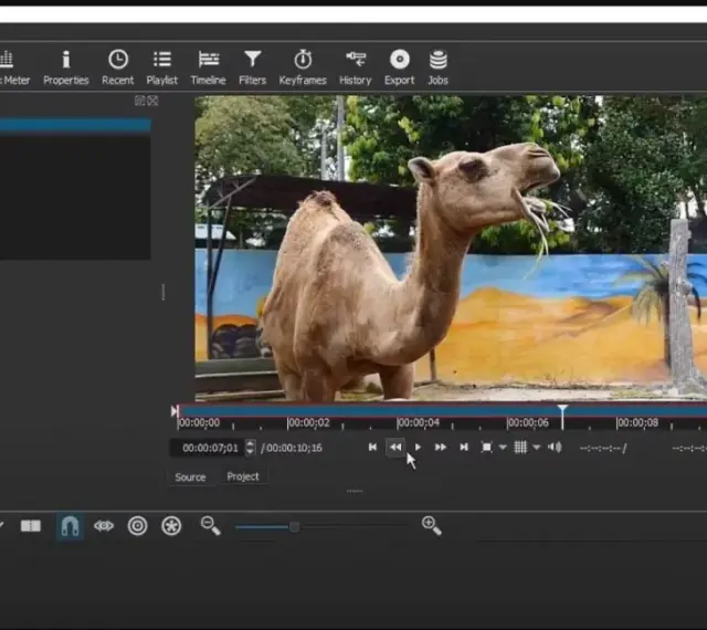Interfaccia di Shotcut con un video di un cammello in riproduzione. Impara come usare Shotcut per montare i tuoi video.