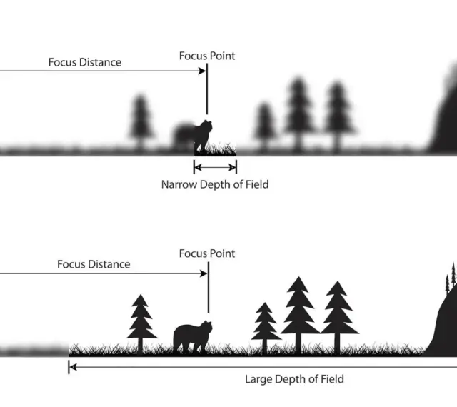 Illustrazione che mostra la differenza tra profondità di campo ridotta (primo piano a fuoco, sfondo sfocato) e ampia (tutto a fuoco), concetti chiave per la profondità di campo cinema.