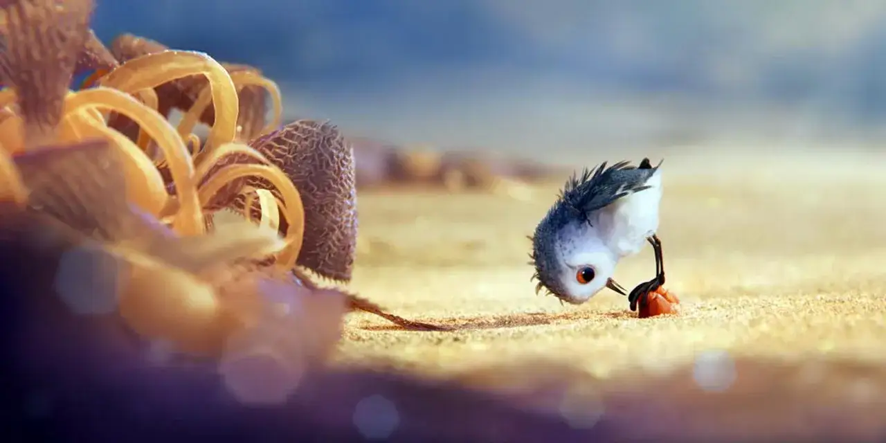 Un pulcino spaventato cerca cibo sulla spiaggia. Il cortometraggio 